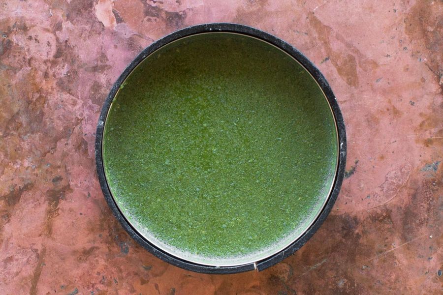 Mint-Cilantro Chutney